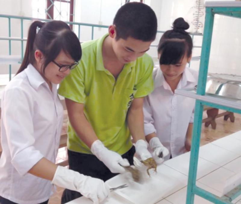 Cóc ăn côn trùng trong vườn