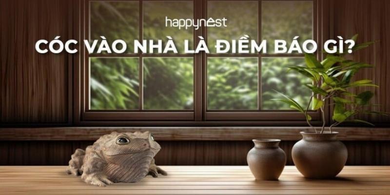 Con Cóc Vào Nhà Đánh Số Mấy? Giải Mã Bí Ẩn 4 Cóc vào nhà ban ngày