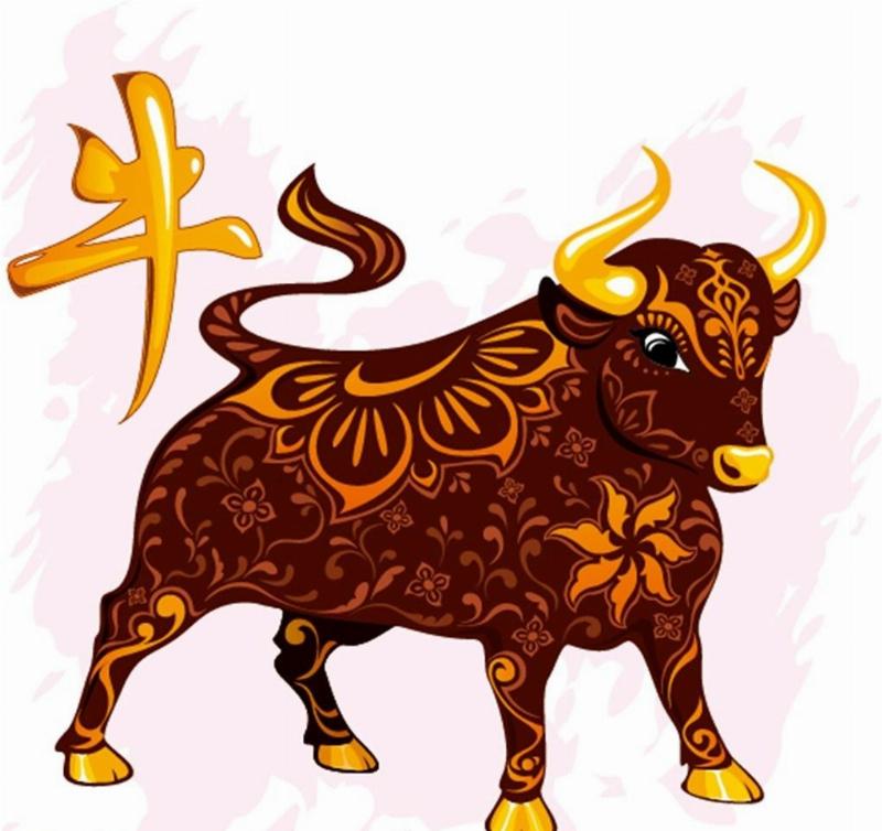 Đặc điểm tính cách người tuổi Quý Sửu