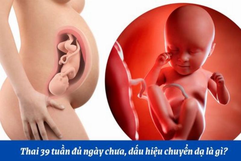 Dấu mốc quan trọng tuổi 39