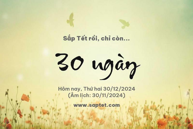 Đếm ngược từng ngày đến Tết Nguyên Đán