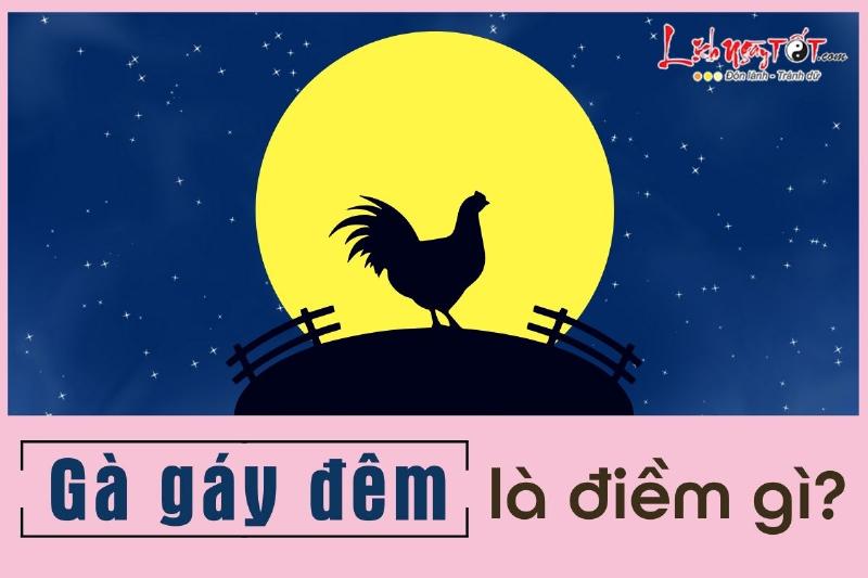 Gà Gáy Lúc 7h Tối: Điềm Báo Hay Hiện Tượng Tự Nhiên? 3 Gà gáy 7h tối: Quan niệm dân gian