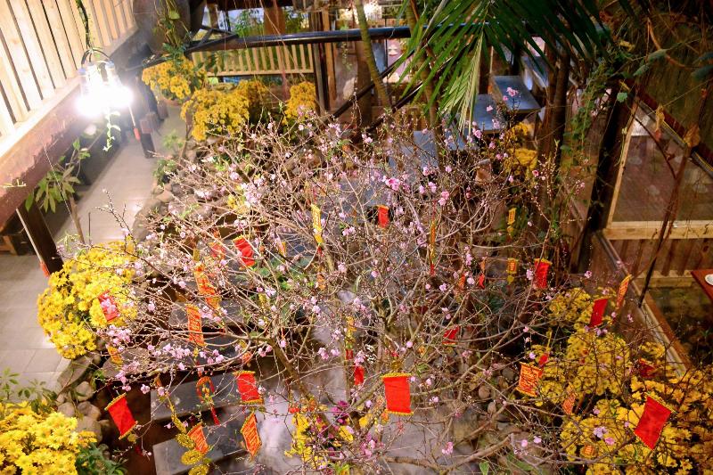 Tết Còn Bao Nhiêu Ngày? Đếm Ngược Từng Giây Tới Xuân 2 Không khí Tết đã về