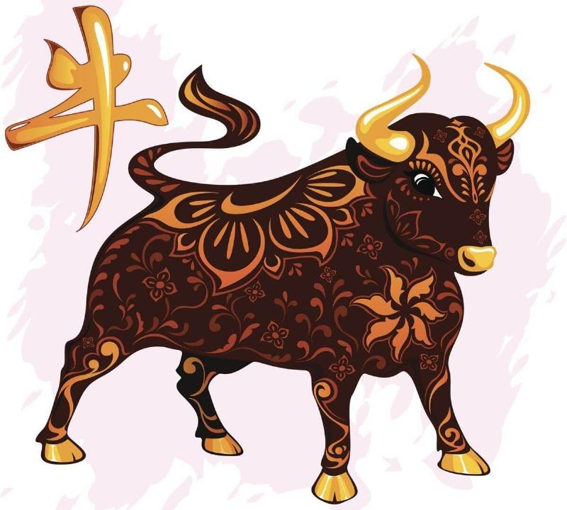 Kỷ Sửu Sinh Năm Bao Nhiêu? Giải Đáp Chi Tiết 2 Người tuổi Kỷ Sửu chăm chỉ làm việc