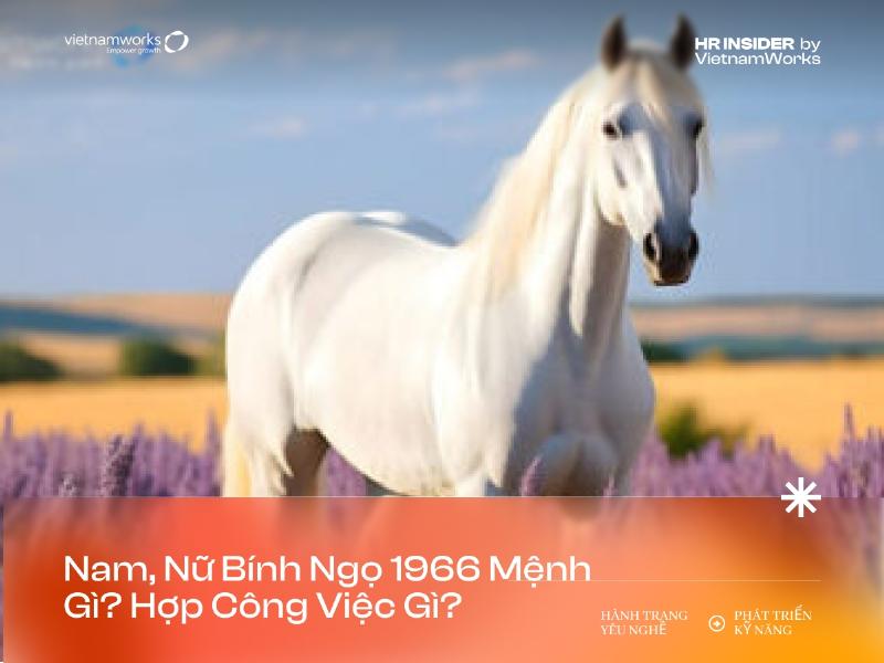 Lời khuyên cho tuổi Ngọ 1966