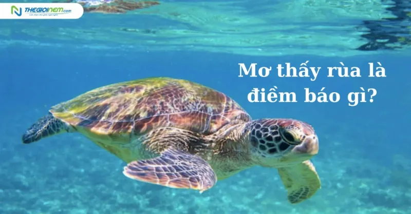 Mơ Thấy Rồng Đánh Con Gì: Giải Mã và Con Số May Mắn 2 Mơ thấy rồng đánh rắn: điềm báo và con số may mắn