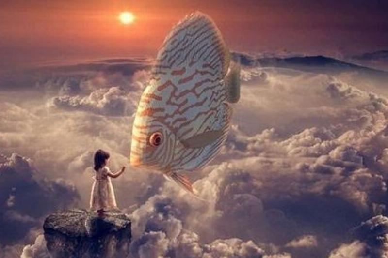 Nằm mơ thấy bắt được nhiều cá trong sông