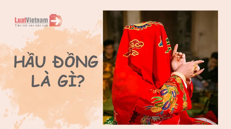 Người có căn bà chúa thượng ngàn cảm nhận năng lượng