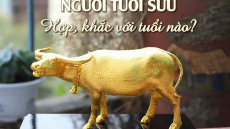 Người tuổi Sửu hợp với tuổi nào