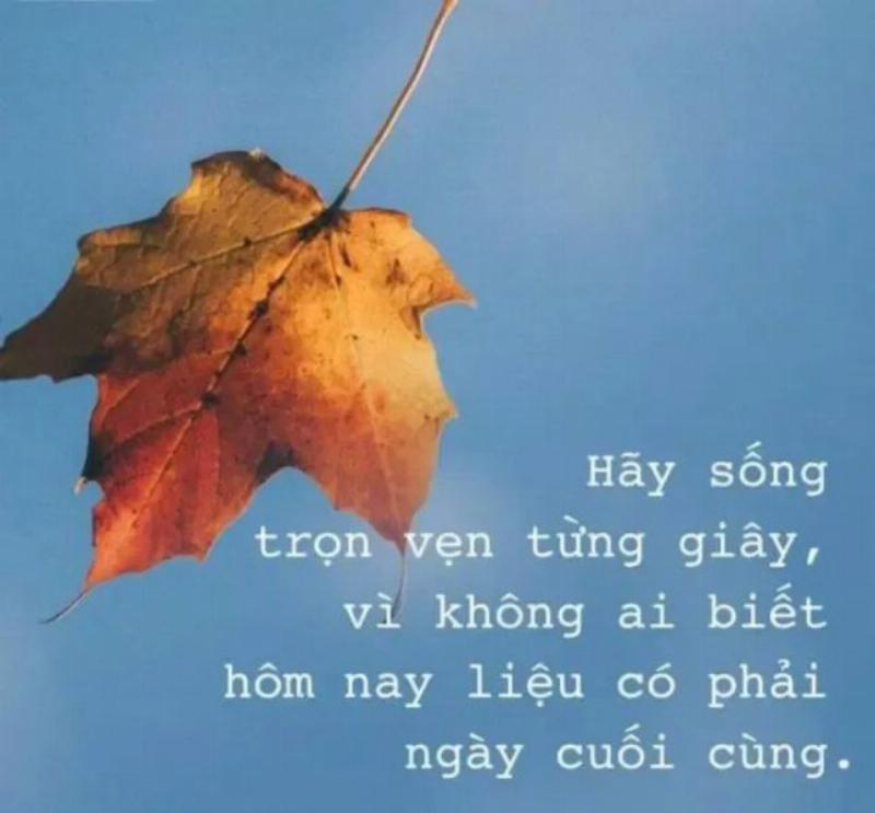Sống trọn vẹn hôm nay