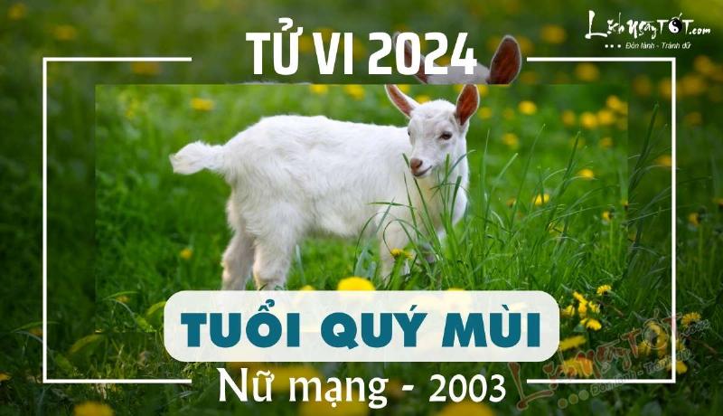 Sự nghiệp Quý Mùi 2003 nữ mạng năm 2024