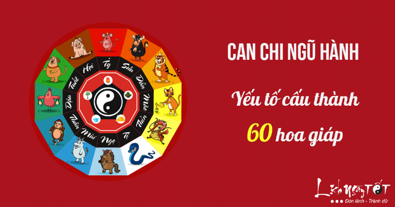 Thiên can, địa chi và ngũ hành trong lá số tử vi