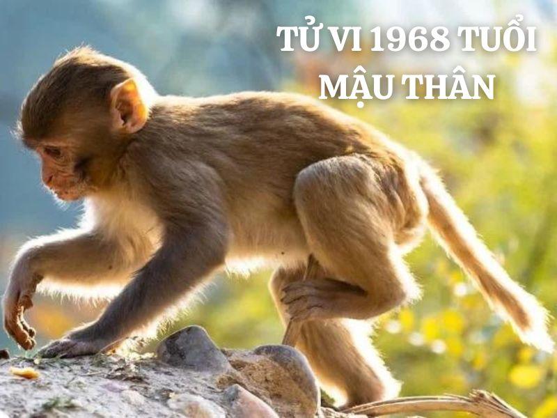 1968 Là Năm Con Gì? Tìm Hiểu Chi Tiết Về Tuổi Mậu Thân 4 Tình duyên tuổi Mậu Thân