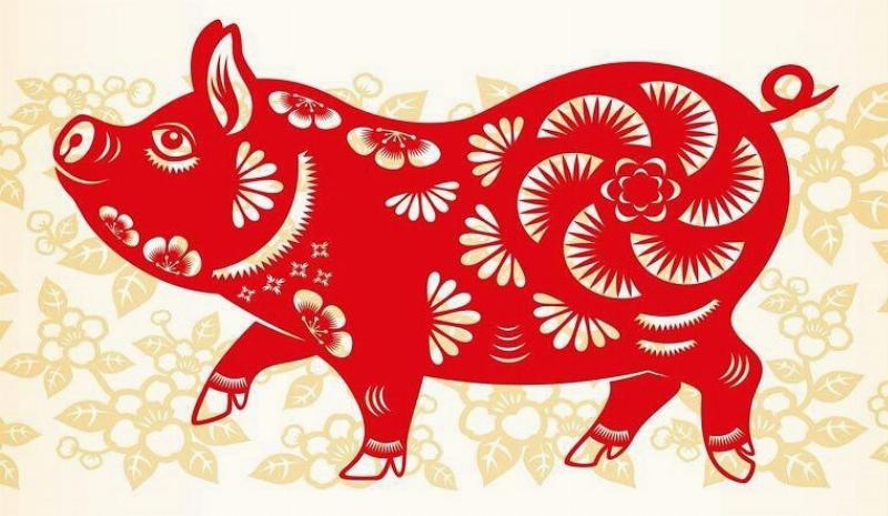 Sinh Năm 2007 Là Bao Nhiêu Tuổi? 2 Tính tuổi người sinh năm 2007