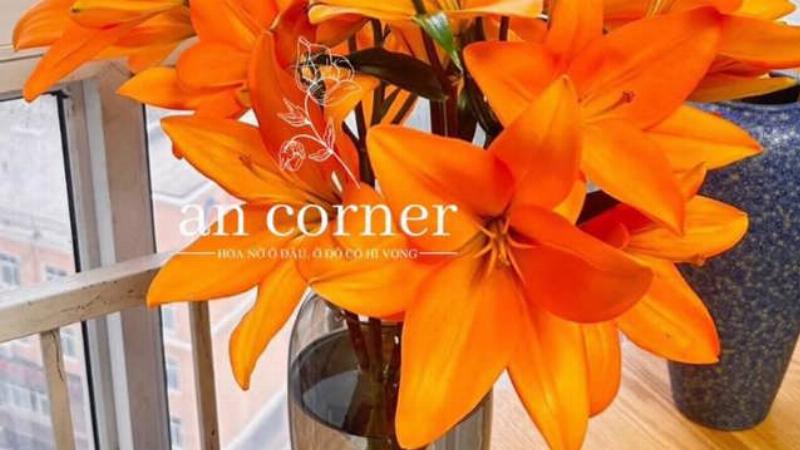 Tử Vi 12 Cung Hoàng Đạo Ngày Mai 3 Tử vi Xử Nữ ngày mai