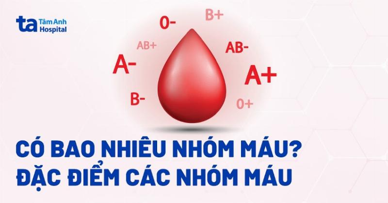 Khám Phá Bí Mật Tử Vi Cung Song Ngư 4 Tử vi cung Song Ngư theo nhóm máu: Biến thể tính cách