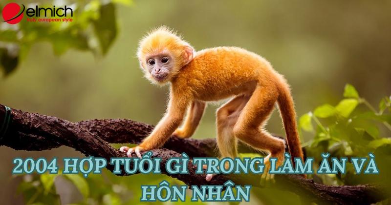 Tử vi Giáp Thân 2004 nữ: Tình duyên