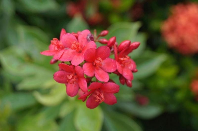 Tử Vi Ngày Mai Thiên Tuệ: Dự Đoán Chính Xác 3 Tử Vi Ngày Mai Thiên Tuệ: Cơ Hội Thăng Tiến