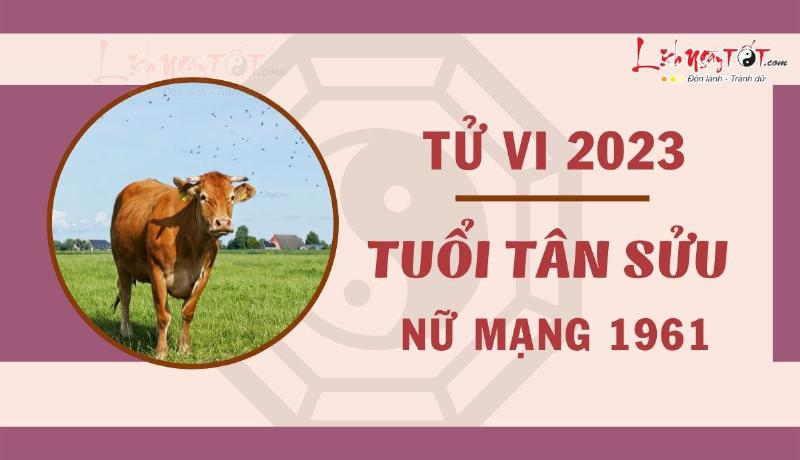 Tử vi tài chính tuổi Tân Sửu 1961 nữ mạng năm 2023