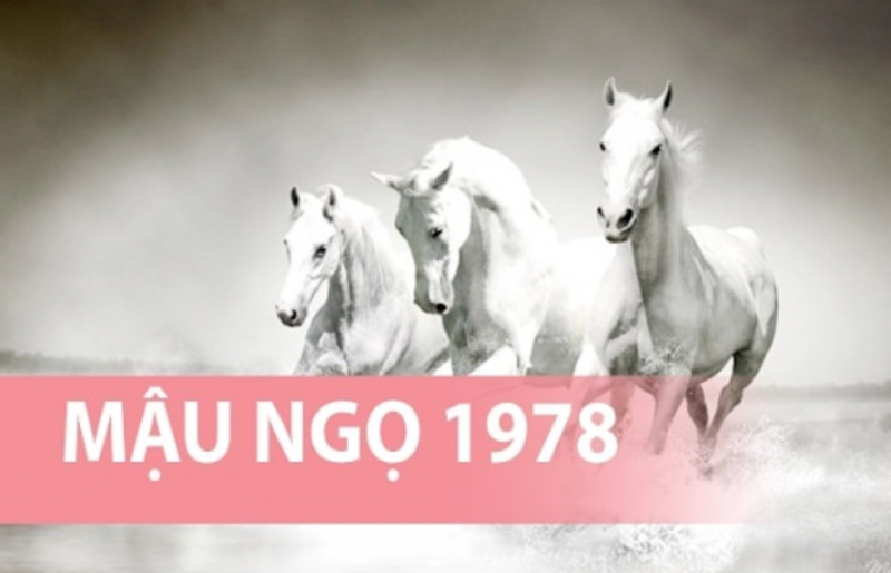 Tổng quan tử vi trọn đời Mậu Ngọ 1978