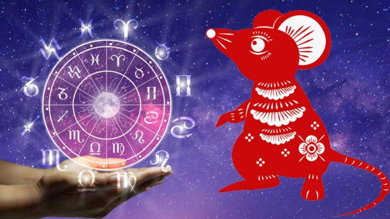 Tuổi hợp với Mậu Tý 2008