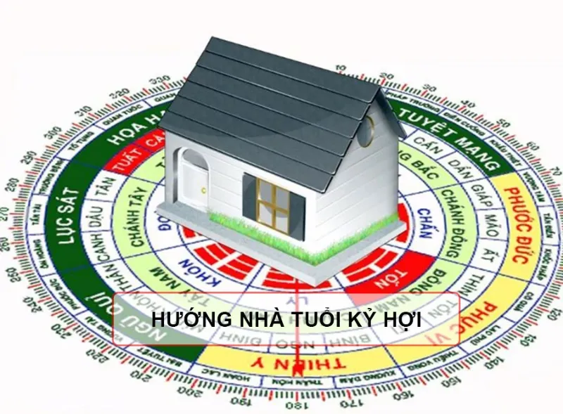 Sinh Năm 2019 Tuổi Con Gì? 4 Tuổi Kỷ Hợi hợp với tuổi nào?