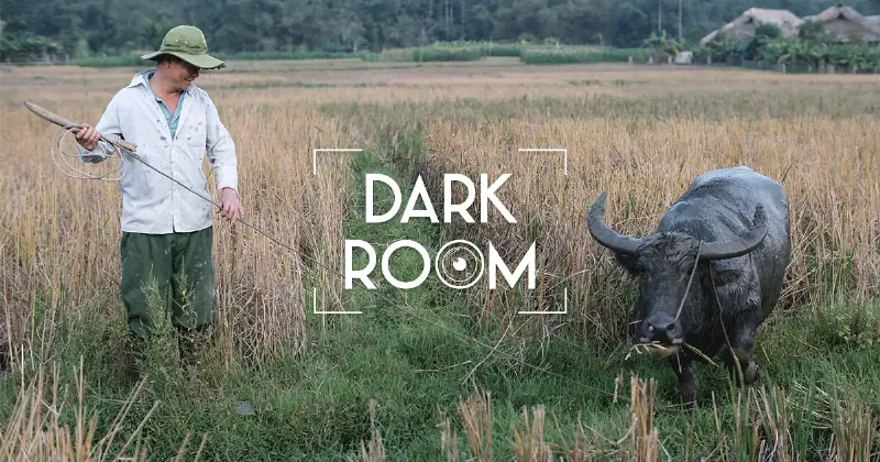 Ứng dụng 12 con giáp trong đời sống