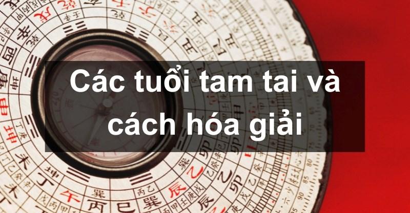 Vận hạn tuổi Mùi 1991 năm 2024 và cách hóa giải
