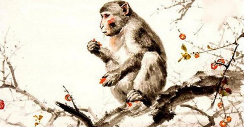 Vận mệnh tuổi Nhâm Thân