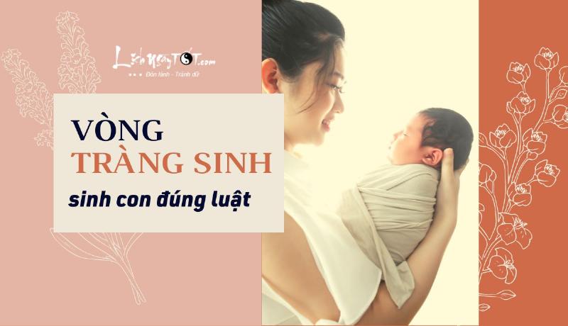 Vòng Tràng Sinh 12 Cung Mệnh