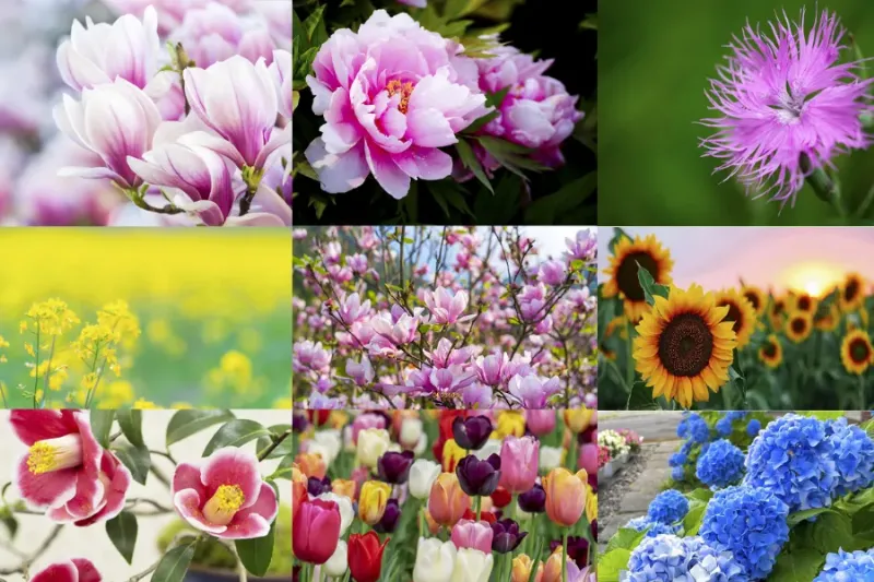 Ý nghĩa số 333 trong tình yêu: Lạc quan và hy vọng