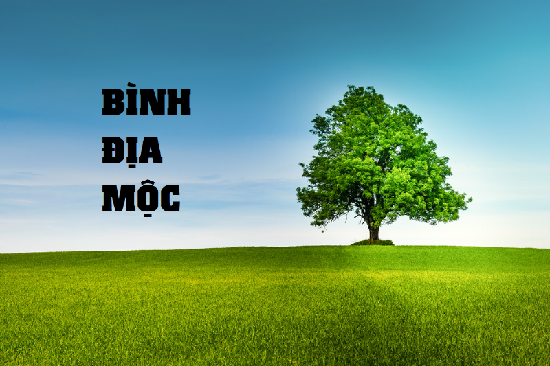 Bình Địa Mộc Trong Phong Thủy