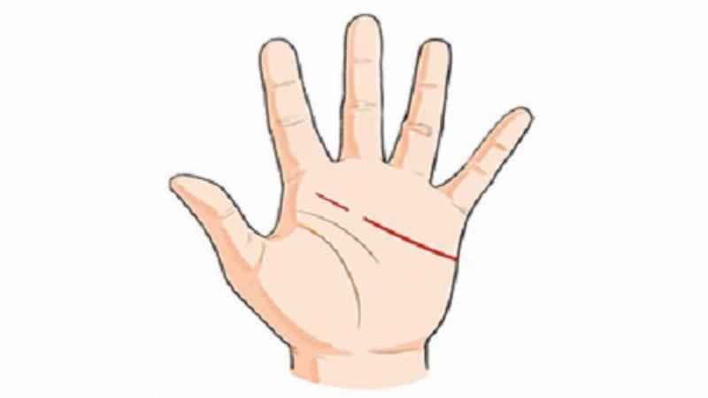 Xem chỉ tay để bói nghề nghiệp tương lai