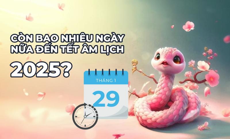 Còn Bao Nhiêu Ngày Nữa Là Đến Tết 2025? 2 Đếm ngược đến Tết 2025