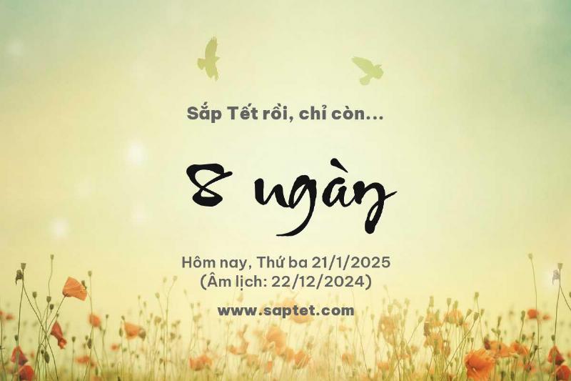 Đếm Ngược Tết Nguyên Đán