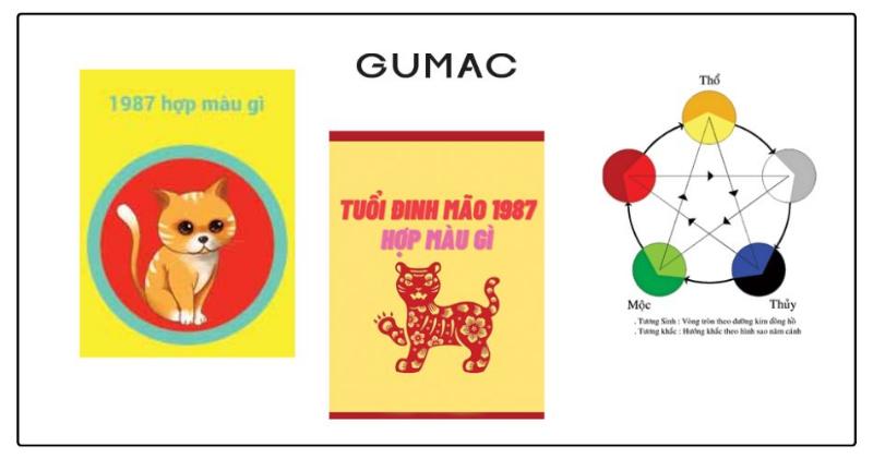 Màu sắc may mắn cho người tuổi Đinh Mão 1987