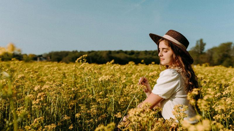 Hành trình tìm kiếm hạnh phúc của 12 cung hoàng đạo