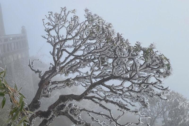 Còn Bao Nhiêu Ngày Nữa Là Tới Tết? 4 Không khí Tết Âm Lịch