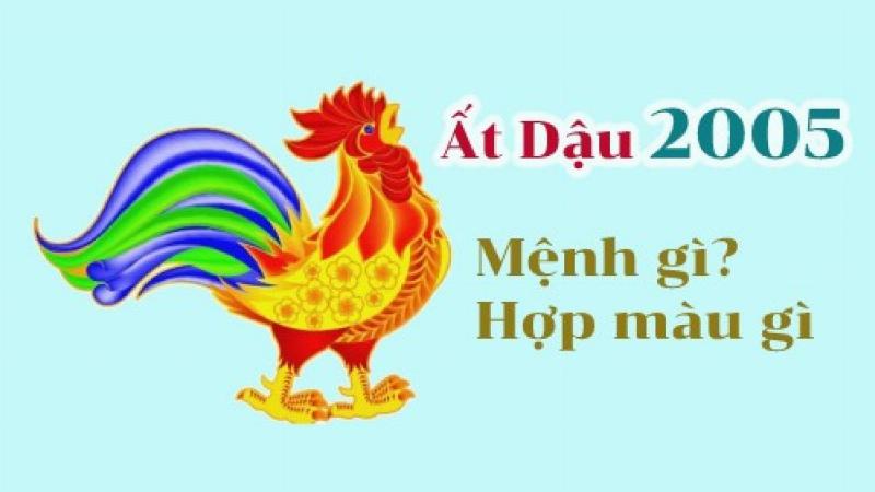 2002 với 2005 Có Hợp Không? 2 Nữ 2002 và Nam 2005: Hài Hòa Âm Dương