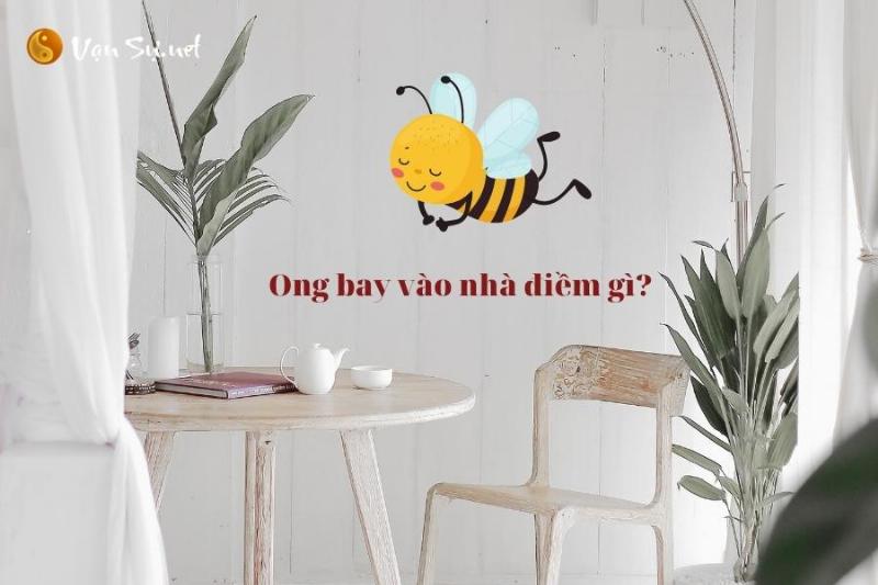 Ong vàng bay vào nhà điềm báo gì?