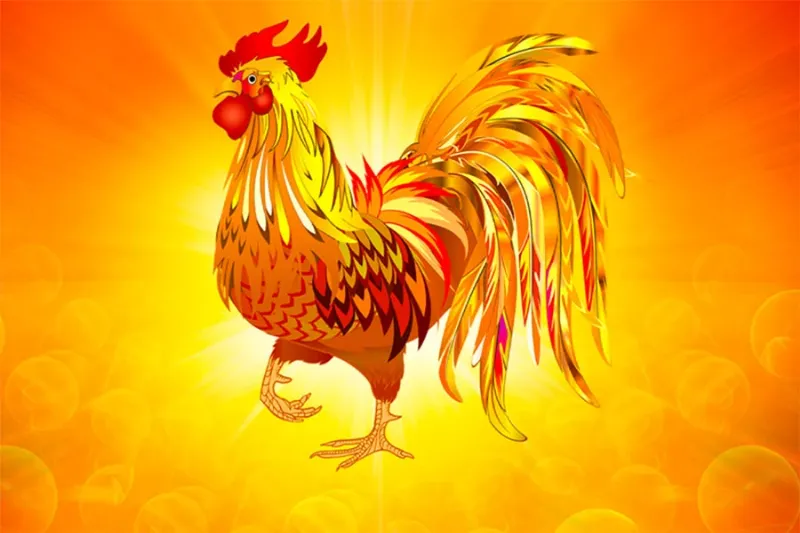 Phong thủy cho người tuổi Đinh Dậu 1957