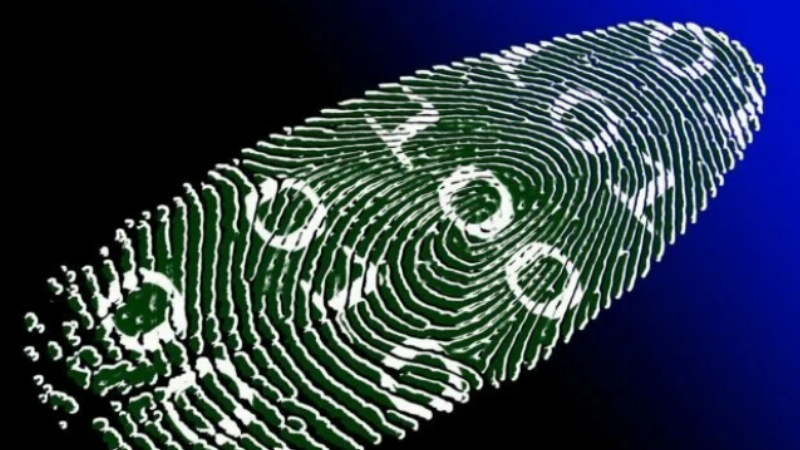 Quan trọng của việc tính số ngày