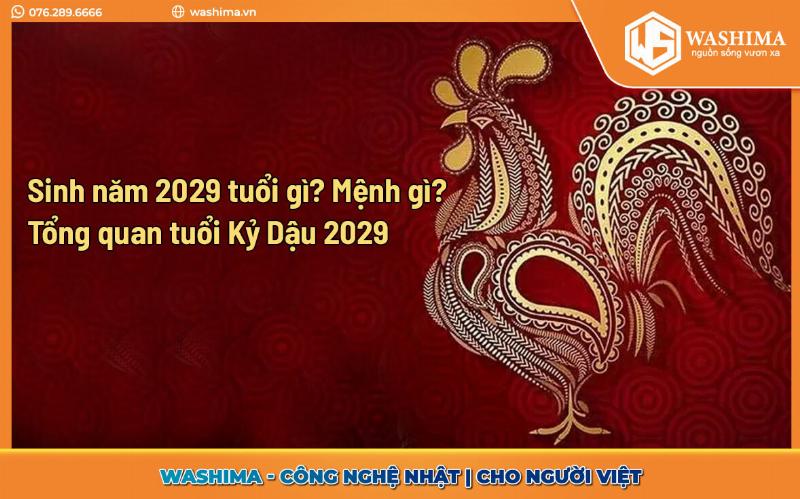 Sinh Con Năm 2029 Hợp Tuổi Bố Mẹ: Lựa Chọn Tốt Nhất 2 Sinh Con Năm 2029 Hợp Tuổi Bố Mẹ