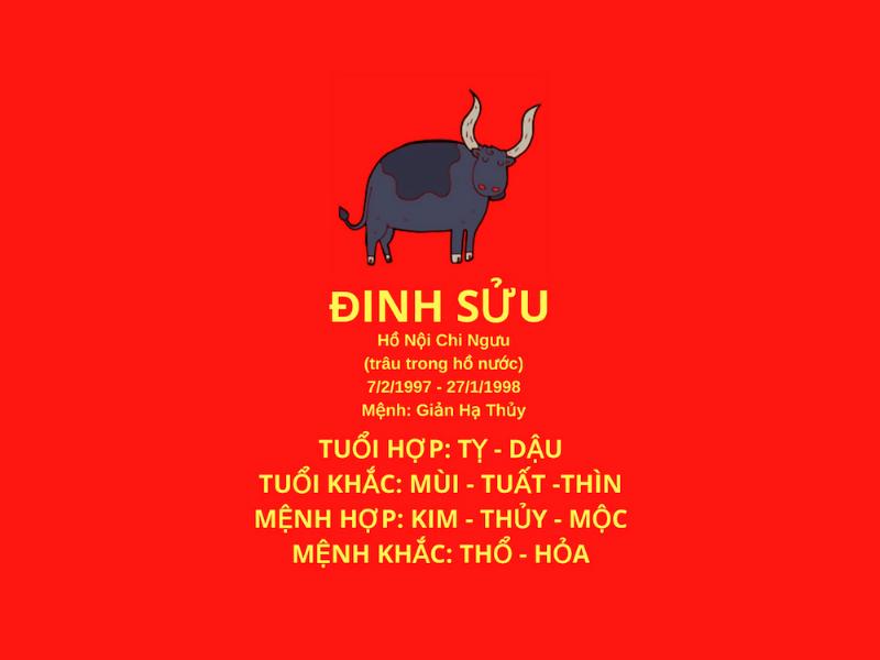 1997 Năm Nay Bao Nhiêu Tuổi? 2 Hình ảnh minh họa về tuổi Đinh Sửu