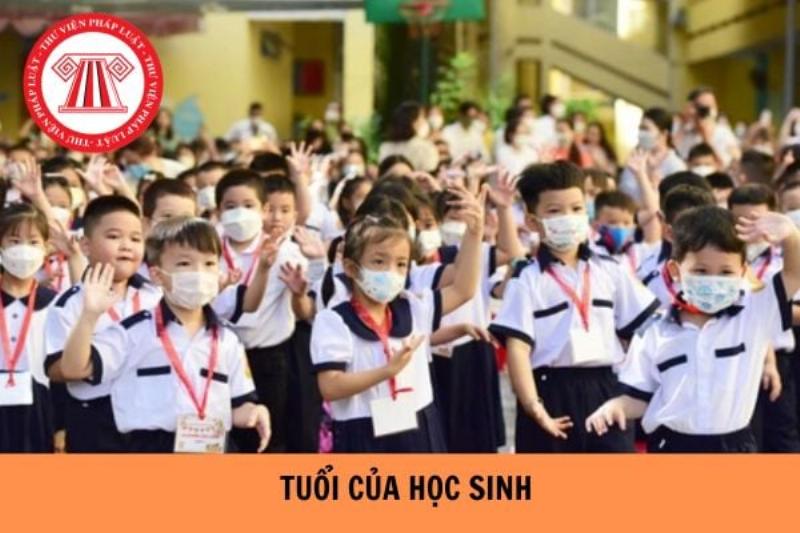 Học sinh sinh năm 2011 học lớp mấy