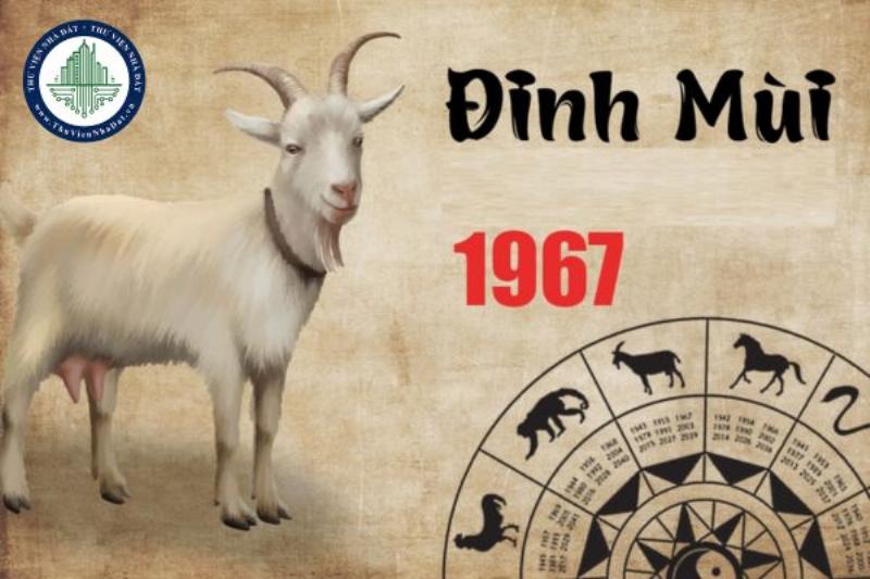 Tuổi Mùi 1967 Bao Nhiêu Tuổi? 4 Sức khỏe tuổi Mùi 1967