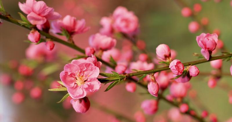 Tham Khảo Ý Kiến Chuyên Gia Phong Thủy Khai Trương