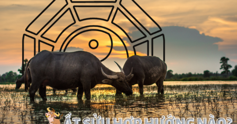 Tính cách đặc trưng tuổi Ất Sửu 1985