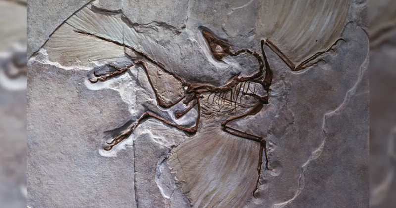 Tính năm sinh dựa trên niên đại