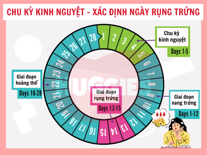 Tính nhanh 30 ngày nữa trên lịch